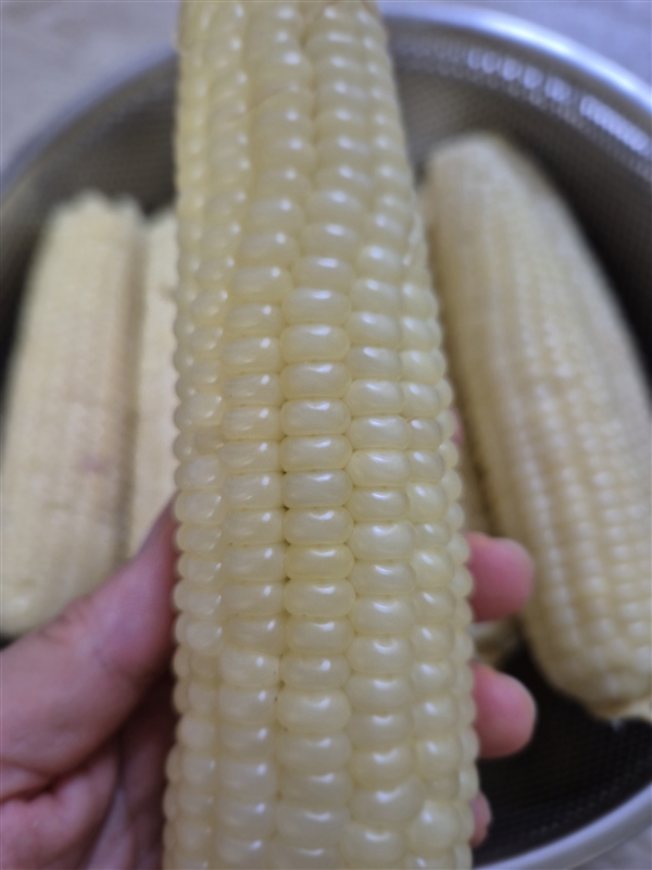 20250717102456458_20250716_160311.jpg