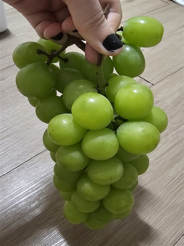 20250810123932610_20250809_182043.jpg